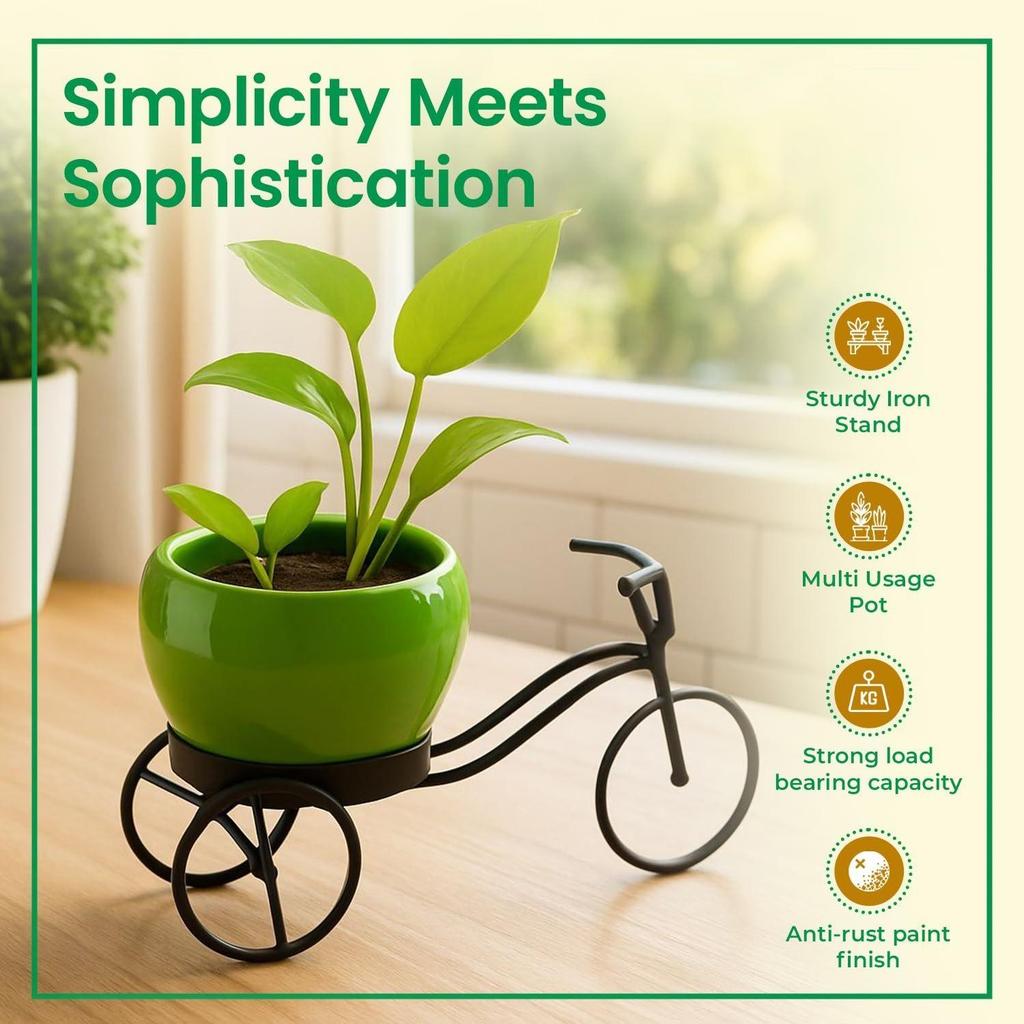 Cycle-Shaped Metal Plant Stand for Indoor & Outdoor Use, Metal Cycle Flower Vase, Decorative Iron Planter Pot Holder