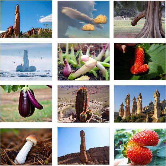 2026 Nature's D*ck Pics Calendar – Funny Gag Gift for Adults, White Elephant, and Dirty Santa Gift Idea, 12-Month Wall Calendar with Fun Rock