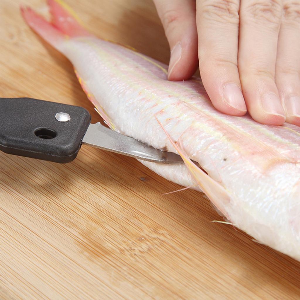 Stainless Steel Descaling Scraper With Cover, Descaling Brush