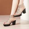 Summer Women's High Heel Shoes Rome Women's Peep Toe Platform Chunky Heel Gladiator Sandals Outdoor Dress Party Fish Mouth Shoes