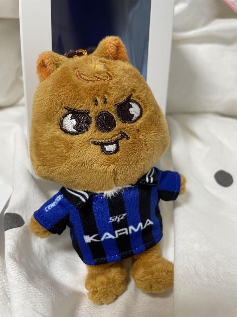 [USED] Stray Kids KARMA SKZOOver. Han Price Reduced