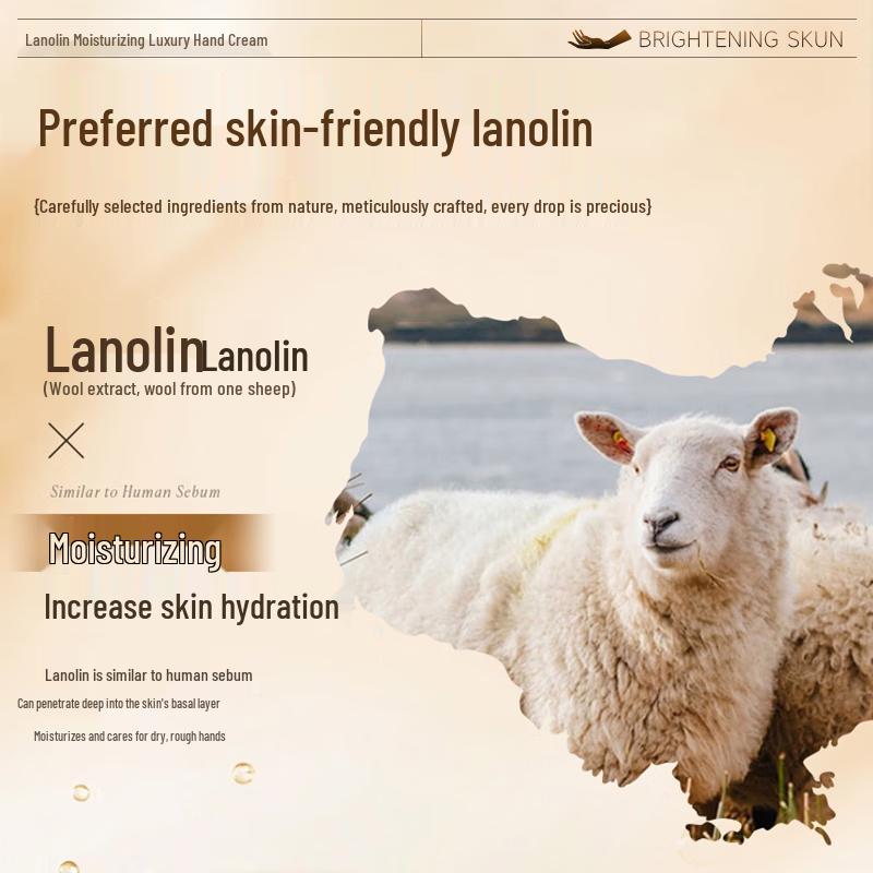 Vaseline Lanolin Hand Cream