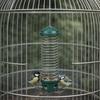 Squirrel Proof Spiral Coil Bird Feeder Metal Bite Resistant Hanging Hummingbird Feeder Heavy Duty Wild Bird Feeder