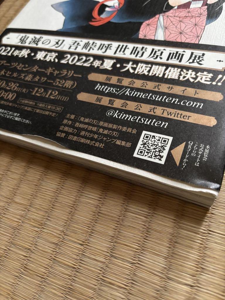 [USED] Demon Slayer 2-book set