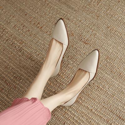 French Thick Heel Low Heel Mary Jane Shoes Women's Pointed Head Light Mouth Commuting Versatile 2024 Spring and Autumn Versatile Soft Leather Shoes