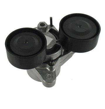 SKF V-belt Tensioner BMW E90/F20