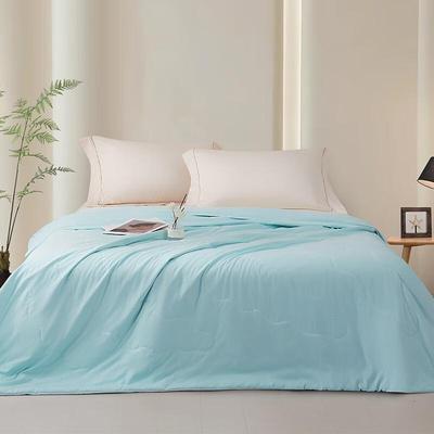Nanfang Bedding Silk Charm Mulberry Silk Summer Quilt