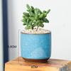 Jikai Ice Cracked Succulent Flower Pot Foreign Trade Colorful Open Piece Ceramic Gardening Creative Office Desktop Combination Green Plant Pot 6