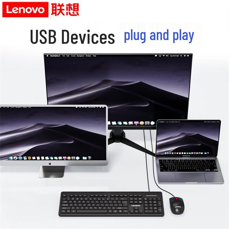 Lenovo Wired Keyboard and Mouse Combo MK14