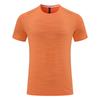 2024 Men's Quick-Dry Short-Sleeve Fitness Running T-Shirt for Outdoor Sports