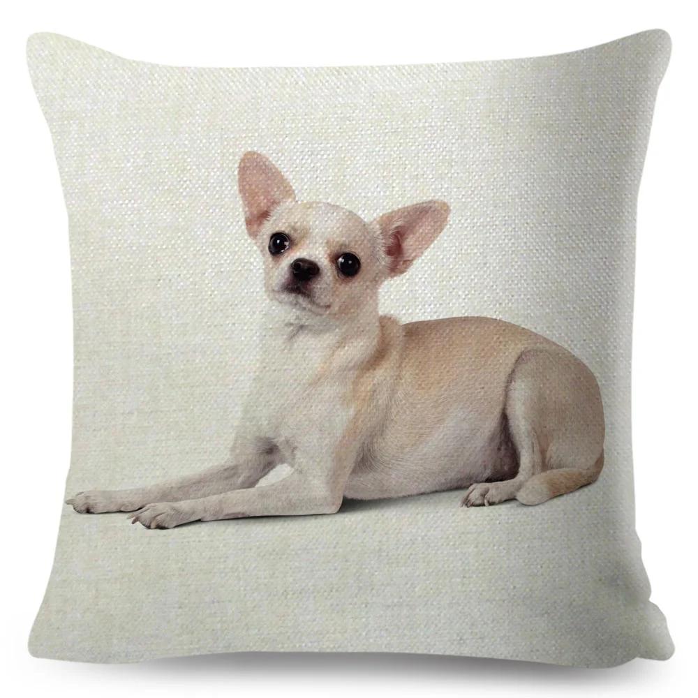 Niedlicher Kleiner Hund Chihuahua Kissenbezug Deko Liebes Haustier Tier Kissenbezug Polyester Überwurf Kissenbezug für Sofa Zuhause Auto 45x45cm