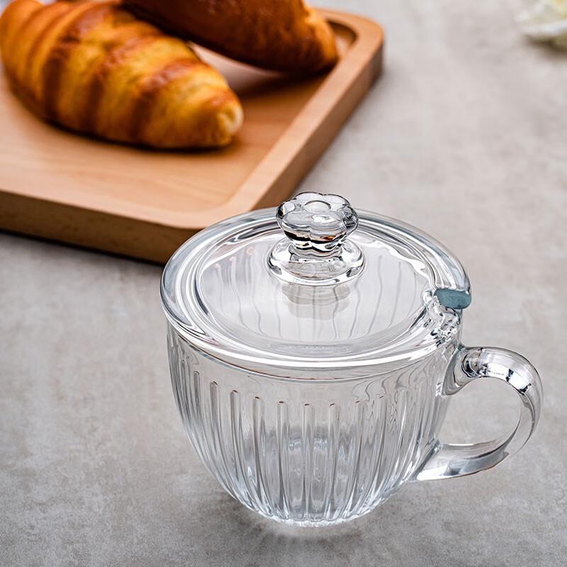 

XIANDUN Transparent Glass Drinking Cup with Lid & Spoon