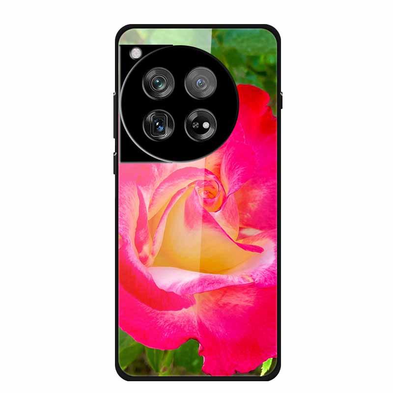 Personalized Seven-Colored Tempered Glass Phone Case for OnePlus 12 - Unisex