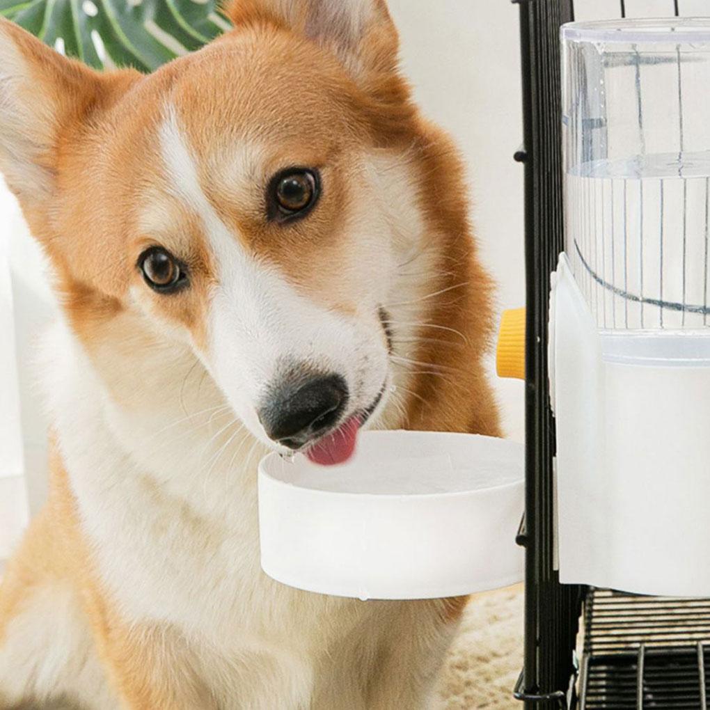 Dog Food Bowl High-Capacity Feeding For Furry Friend Pet Food Water Dispenser Hanging Water Feeder