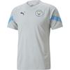 2022-23 Manchester City Letter V-Neck Fitted Short Sleeve Drop Shoulder T-Shirt Men T-Shirt Gray Purple 767748-14