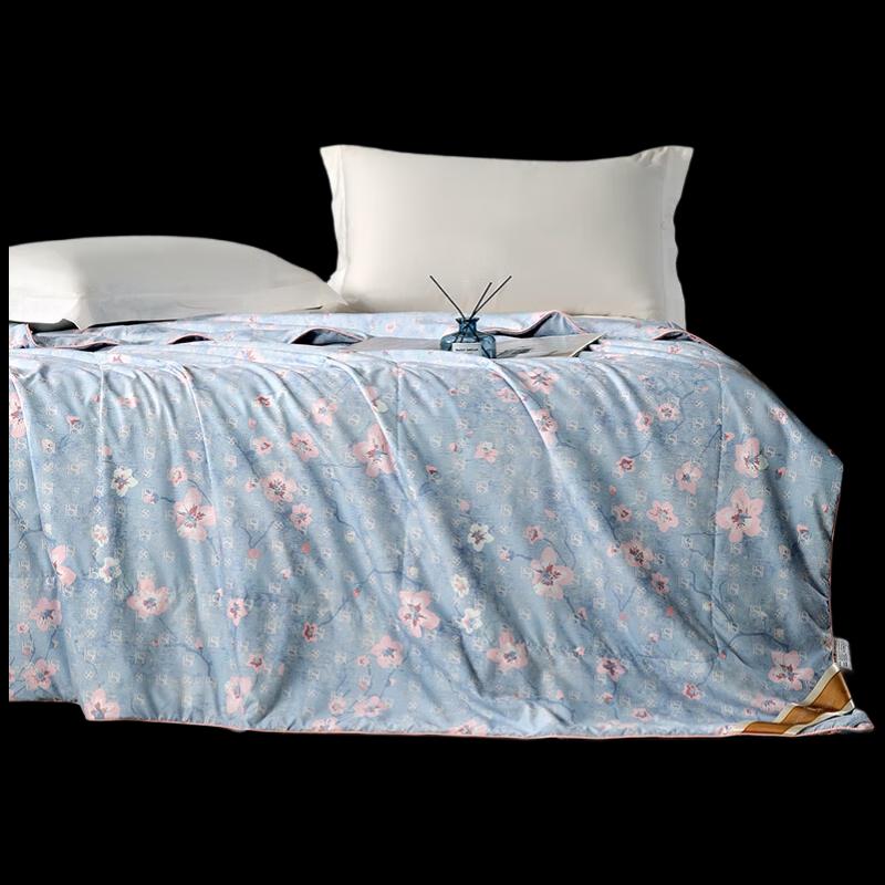 

Hongxiu Shifang Butterfly Love Flower Washable Summer Silk Quilt