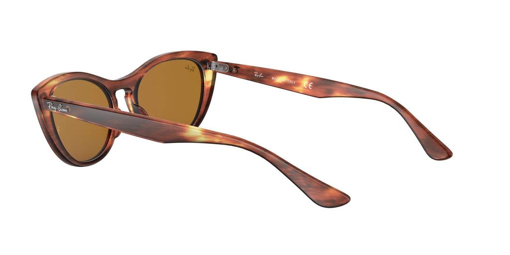 Sunglasses 0RB4314N STRIPPED BROWN Japan 54 0RB4314N [Ray-Ban] 954/33 (FREE Size)
