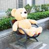 Take Off L'Arc the Bear Cub LL Plush Toy, Brown [with Music Box]