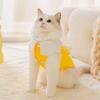 Niedliche Smiley-Gesichtsblume kann Katzenweste führen, um im Herbst und Winter warm zu halten, zwei Füße Teddy Welpenhund Samt Haustierkleidung