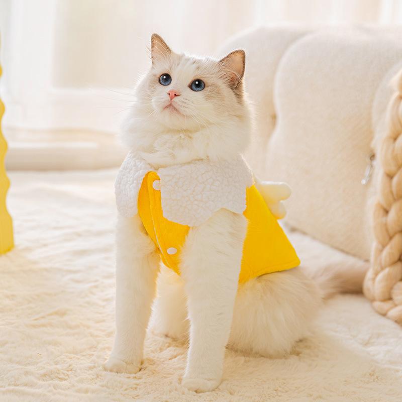 Niedliche Smiley-Gesichtsblume kann Katzenweste führen, um im Herbst und Winter warm zu halten, zwei Füße Teddy Welpenhund Samt Haustierkleidung