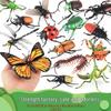 4D Insect Model Toy Set: Ladybug, Stag Beetle, Centipede, Ant, Fly, Mantis