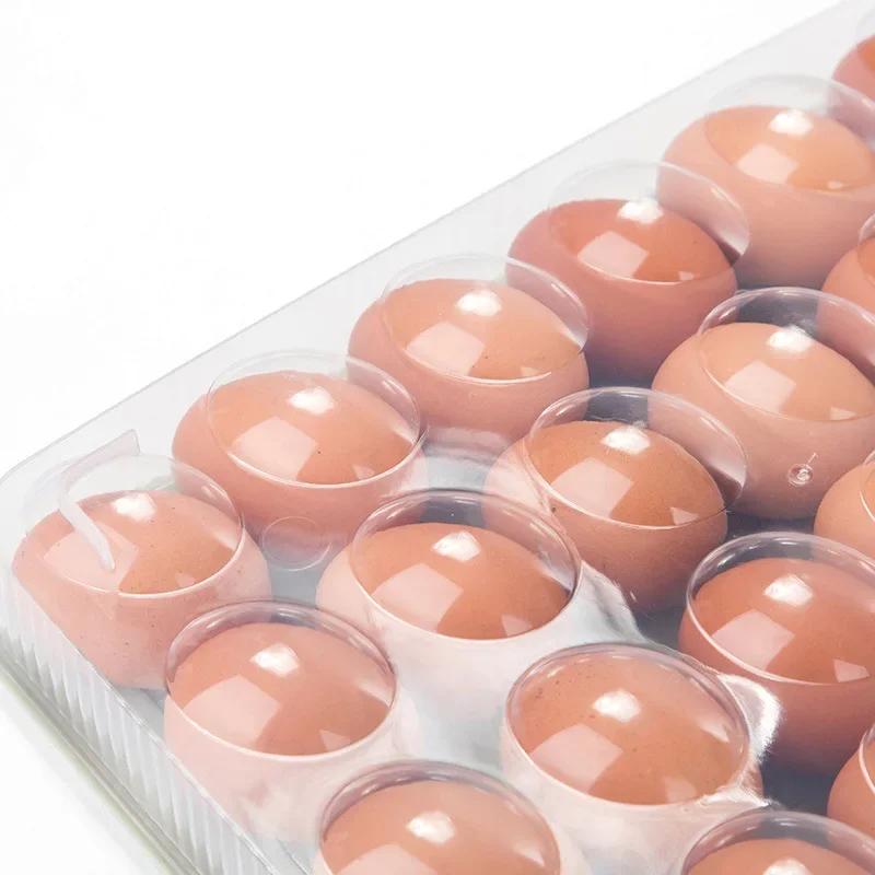 15/24 Grid Eggs Holder Stackable Freezer Storage Organizers Egg Storage Container Plastic Egg Carton Kitchen Egg Storage Box