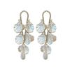 High-end French Super Fairy Pearl Flower Fringed Earrings Women's Light Luxury Temperament Earrings Retro Petal Exaggerated Earrings