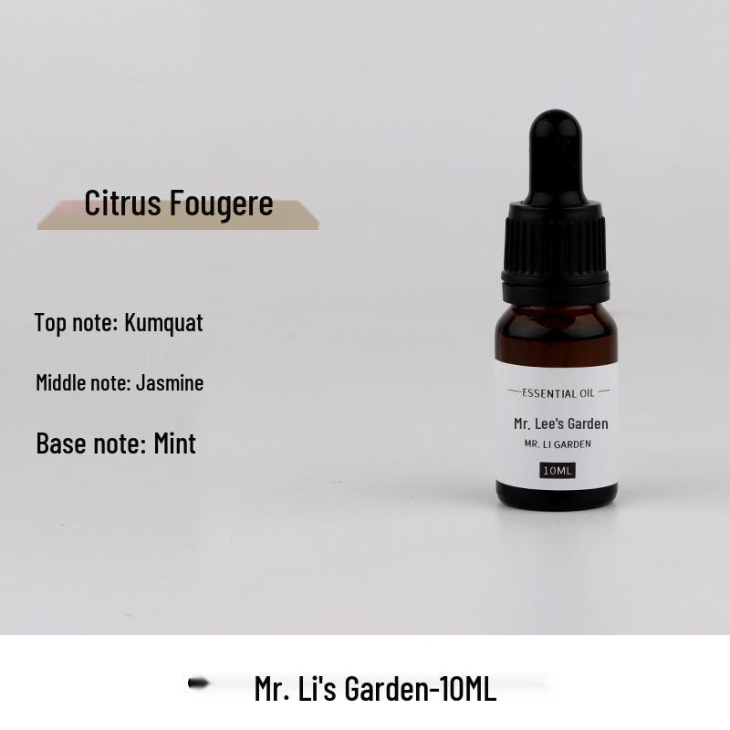 Aroma Candle DIY Kit: Essential Oil, Plaster Diffuser, Long-Lasting Fragrance