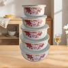 5 Enamel Bowls for Fruits And Salad Set