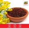 JK Red Sarsoo (Red Mustard Seeds) – Quality Mustard Seeds for Authentic Flavor & Spice, 500gm