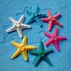 Decorazione per feste da parete per la casa, 5 pezzi, in resina, per stelle marine, spiaggia, oceano, stella marina