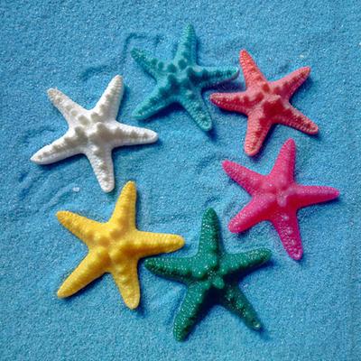 5 Stück Harz Seestern Ornament Strand Ozean Seestern Home Wand Party Dekoration