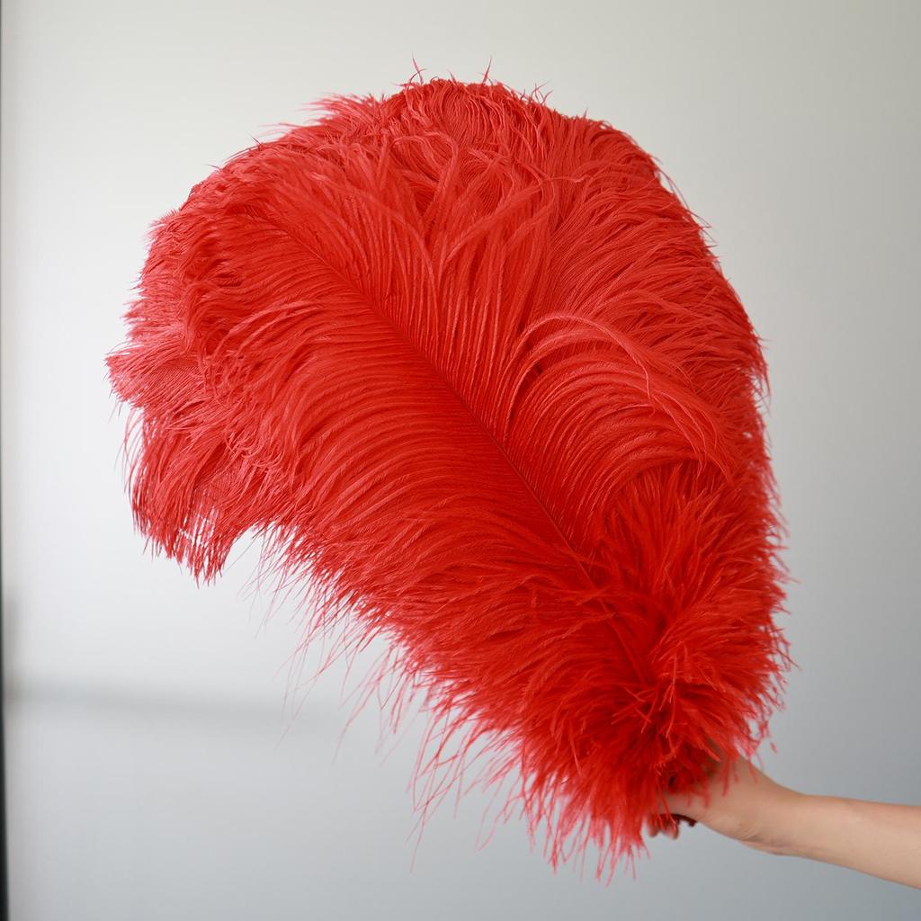 15-75cm Red Ostrich Feathers for Wedding Aisle Centerpieces, Table Decorations, Wall Art, Stage Props