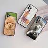 NH5 Alpaka Neue High-End Schale Handyhülle für iPhone SE X XS XR 16E 17 11 Pro Max 8 7 6 6s Plus Air