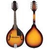 IRIN 8-String Mandolin A Style Electric Guitar Mandolin Set for Beginner Musical Lover Playing Practicement Stringed Instruments