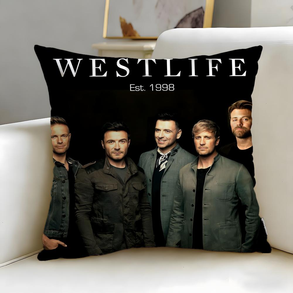 

Trendy Wwestlifeed Cushion Cover Soft EasyWash Pillow Case Versatile for Couch Bed Travel and Office 30X30cm