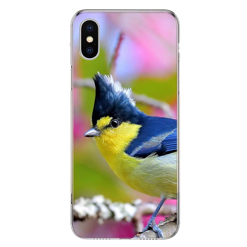 Magpie Bird Cover Phone Case For Apple iPhone 11 12 13 14 Pro 7 XR X XS Max 6 6S 8 Plus + Mini 5 SE Print Soft Cover Coque