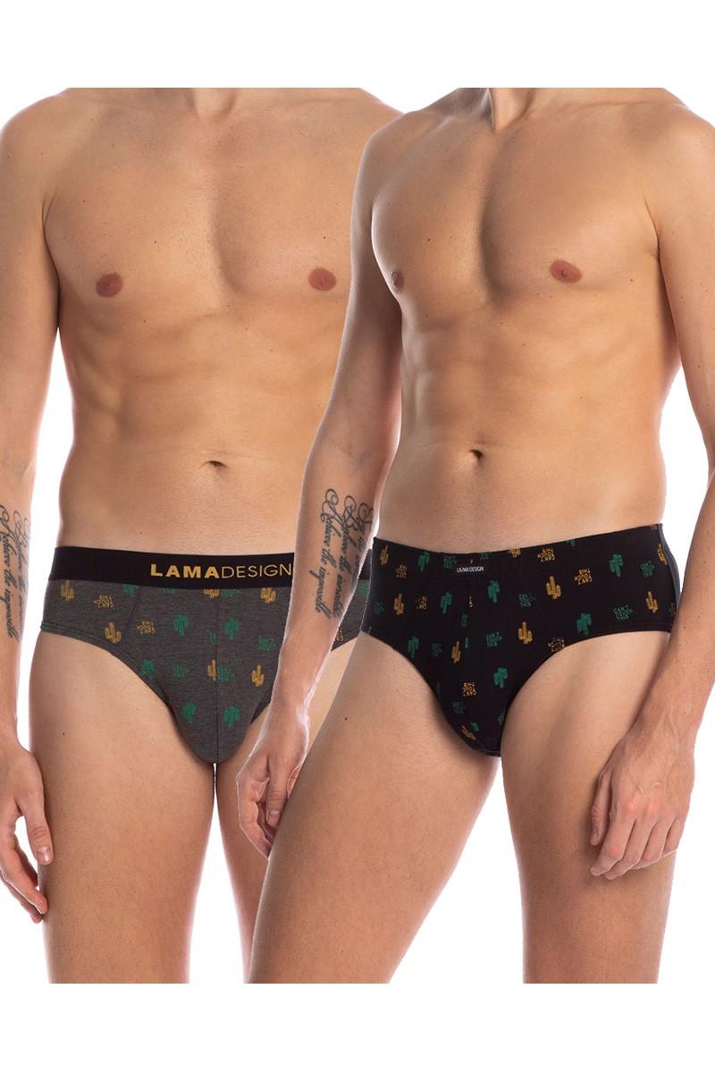 

Труси сліп, 2 штуки Lama (90403) 48(M) різнокольорові кольору