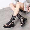 Summer New Women's Peep Toe Roman Best Seller Sandals Back Zipper Fashion Solid Platform Cut-Out Casual High Boots
