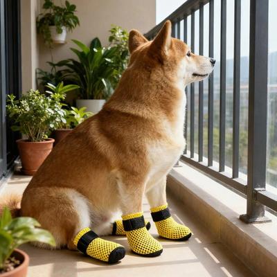Outdoor Dog Socks Protective Feet Cover Grooming Dog Thick Grip Shoes for Outdoor Feet Cover  Shoes Soles