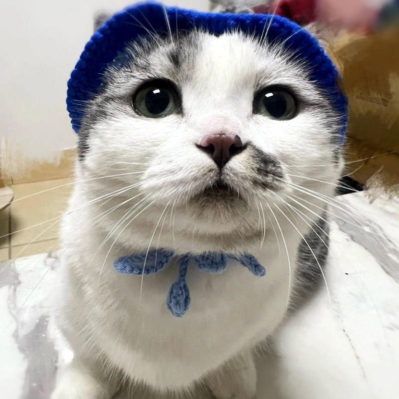 Handgehäkelte Katzenmütze Kaninchen Polizist Cosplay Kostüm Kleine Katzen Welpen Tragen