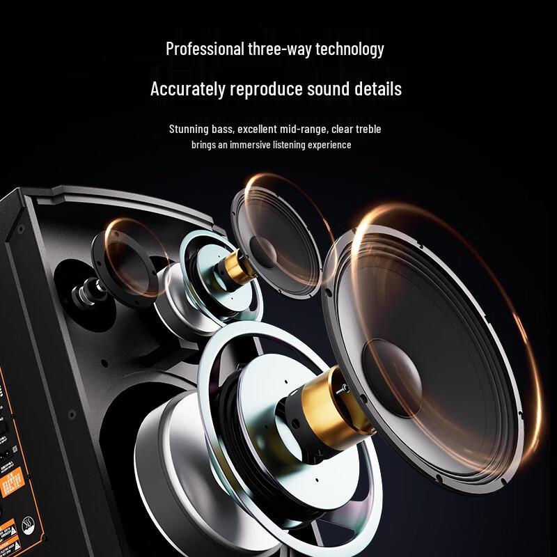 MALONE Portable Outdoor Karaoke Bluetooth Speaker