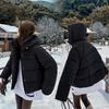 Winter new loose thickened warm down cotton clothes women's short hooded bread clothes European jacket