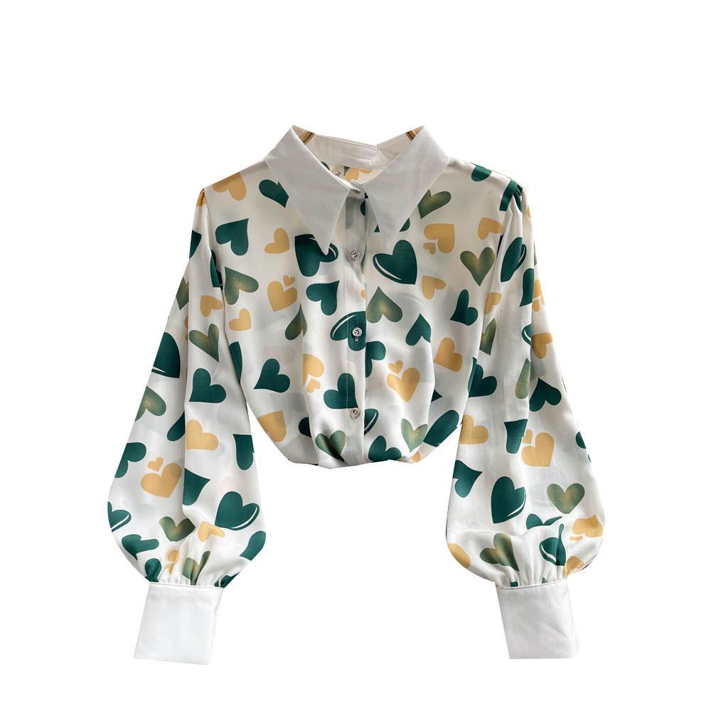 WTEMPO Women's Long Lantern Sleeve Blouse Printed Button Down Shirt Floral Work Business Going Out Tops Blouses