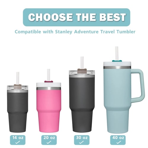 [Limited Edition] Clear Plastic Straws, Reusable with Cleaning Brush, for 40 Oz and 30 Oz Water Cups (6)
