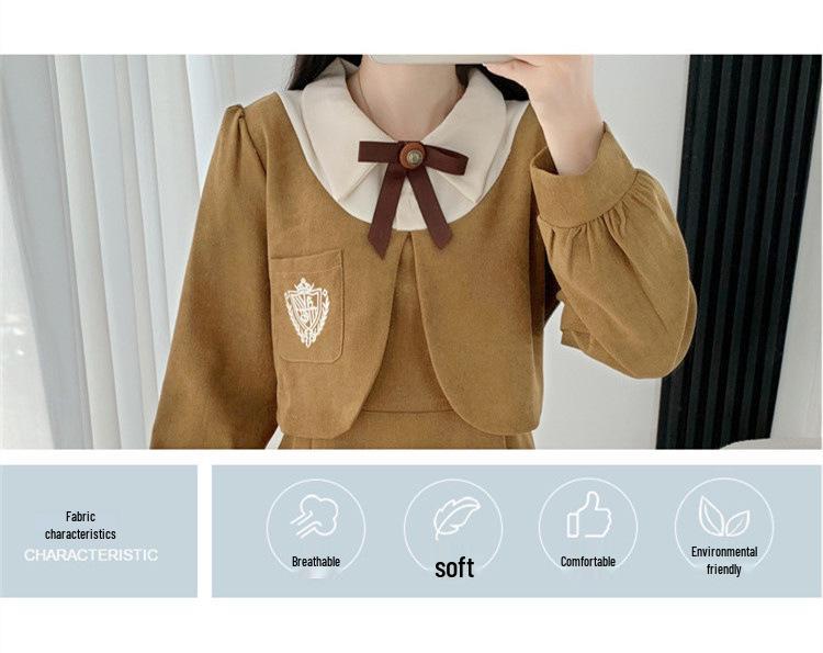 Butterfly Brooch Corduroy Dress: Women's Faux Two-Piece A-Line in French Academy Style for Autumn/Winter