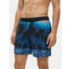 Шорты Quiksilver Everyday Printed Volley 15