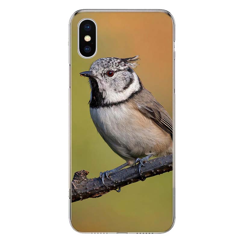 Magpie Bird Cover Phone Case For Apple iPhone 11 12 13 14 Pro 7 XR X XS Max 6 6S 8 Plus + Mini 5 SE Print Soft Cover Coque