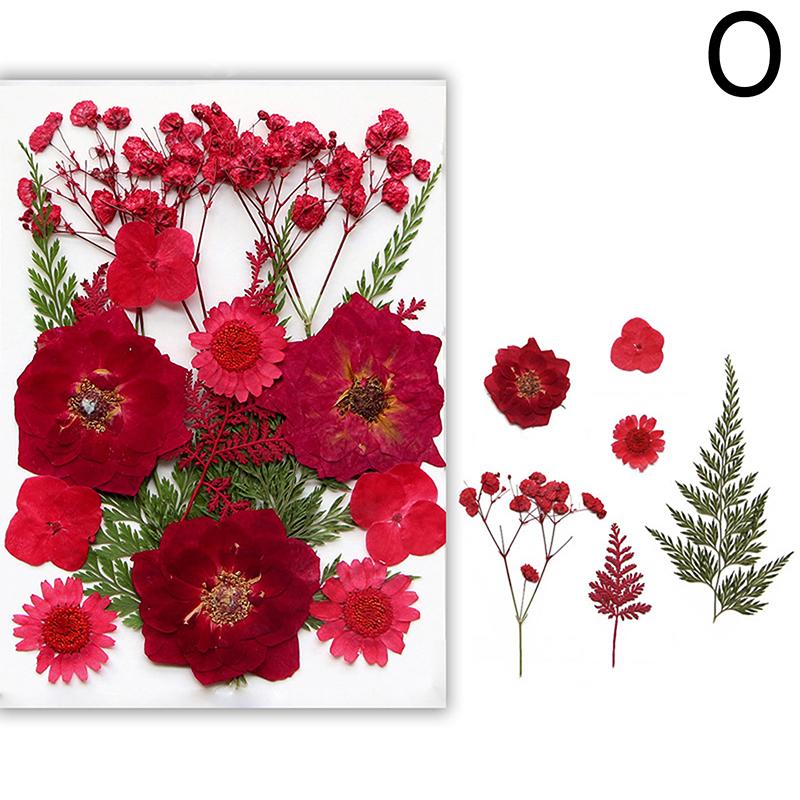 Dried Flowers Real Natural Plant Pressed Flower For Epoxy Resin Filling DIY Nail Art Handicrafts Jewelry Making Craft