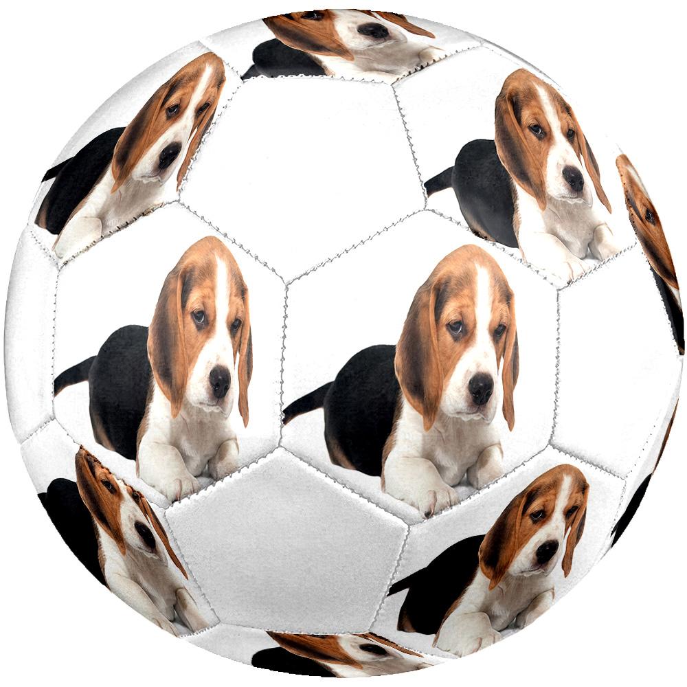 Cute Puppy Indoor Size 5 Soccer Ball Colorful Machine Stitched PVC Competition Ready Durable High-Bounce